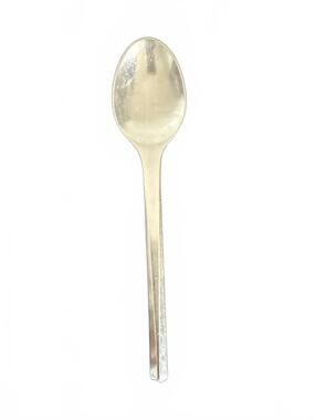 Georg Jensen PRISM Stainless Spoon 7”